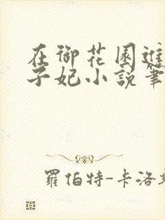 在御花园进入太子妃小说笔趣阁