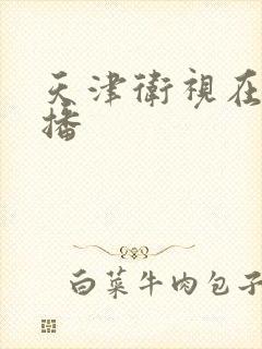 天津卫视在线直播