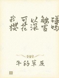 我可以触碰你的樱花深处吗封面