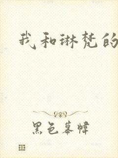 我和琳梵的故事封面