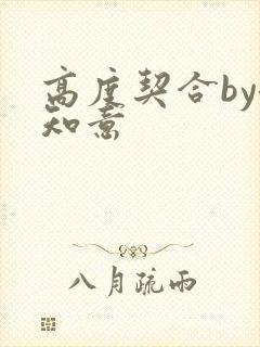 高度契合by洛知意