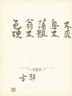 色翁荡息又大又硬又粗又爽电影