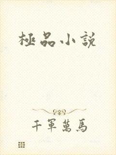 极品小说封面