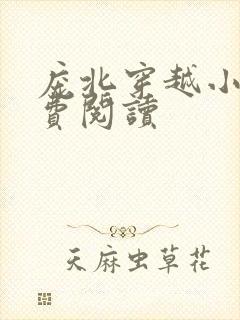 庞北穿越小说免费阅读封面