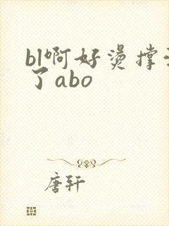 bl啊好烫撑满了abo
