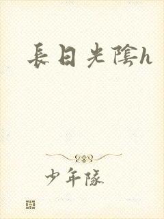长日光阴h