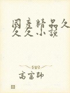 国产精品久久久久久小说