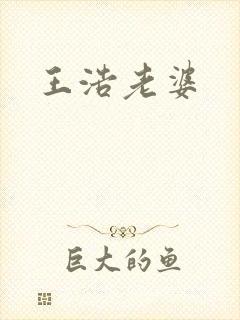 王浩老婆封面