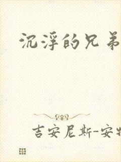 沉浮的兄弟封面