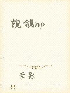 觊觎np