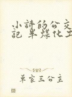 小诗的公交车日记 半煤化工