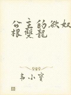 公主的欲奴h四根双龙