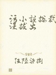 污小说总裁整夜没拔出封面