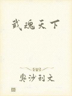 武魂天下