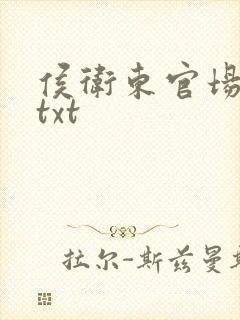 侯卫东官场笔记txt封面