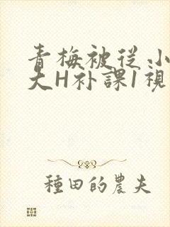 青梅被从小摸到大H补课1视频