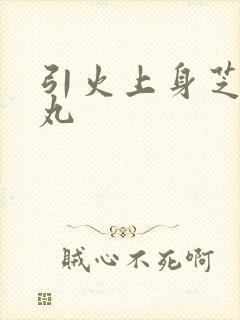 引火上身芝麻糖丸