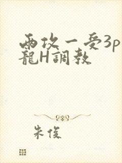 两攻一受3p双龙H调教