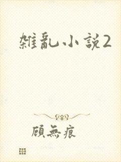 杂乱小说2