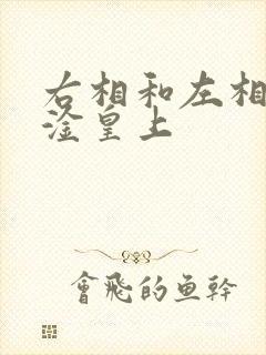 右相和左相一起淦皇上