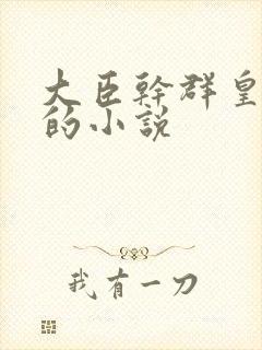 大臣干群皇太后的小说封面
