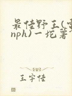 最佳野王(电竞nph)一坨薯饼