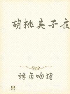 胡桃夹子夜未眠