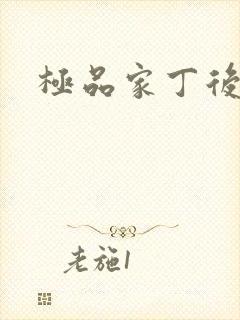 极品家丁后传封面