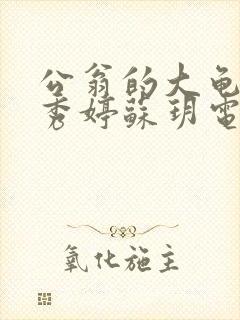 公翁的大龟挺进秀婷苏玥电影