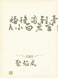 婚后脔到青梅哭h小白兔宫交h