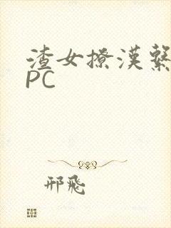 渣女撩汉系统NPC