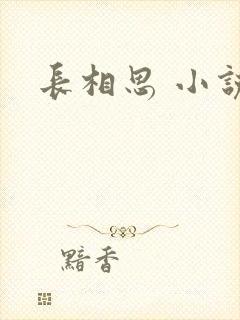长相思 小说