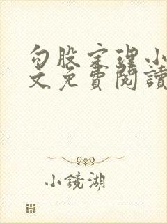 勾股定理小说全文免费阅读无弹窗笔趣阁