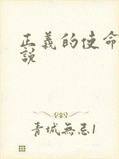 正义的使命 小说