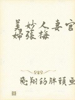 美妙人妻官场少妇张梅封面