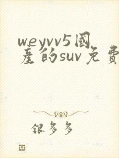 weyvv5国产的suv免费封面