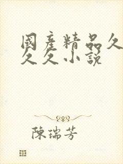 国产精品久久久久久小说