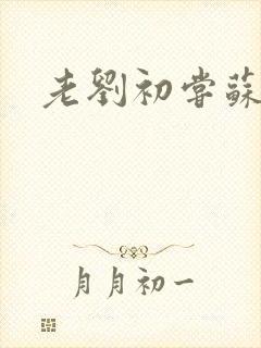 老刘初尝苏荷媳封面