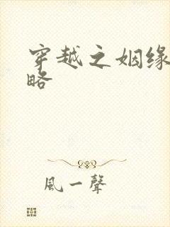 穿越之姻缘劫攻略封面