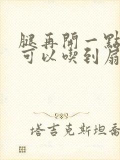 腿再开一点我就可以吃到扇贝了封面