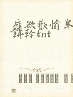 瘾欲欢愉半块小饼干tnt