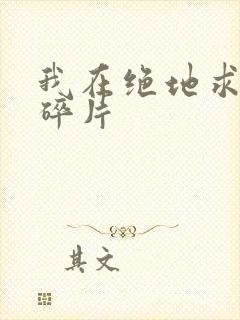 我在绝地求生捡碎片