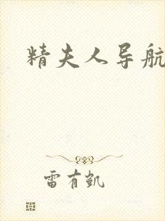 精夫人导航封面