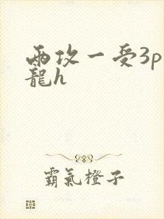 两攻一受3p双龙h