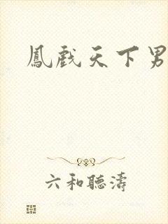 凤戏天下男封面