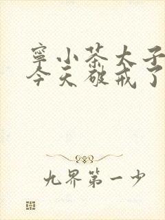 宁小茶太子殿下今天破戒了吗免费阅读