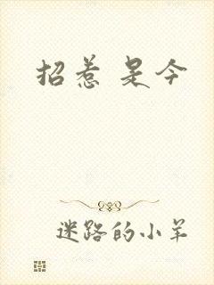 招惹 是今