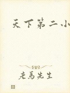 天下第二小说