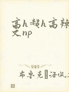 高h超h高辣h文np