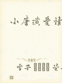 小唐璜爱情历史封面